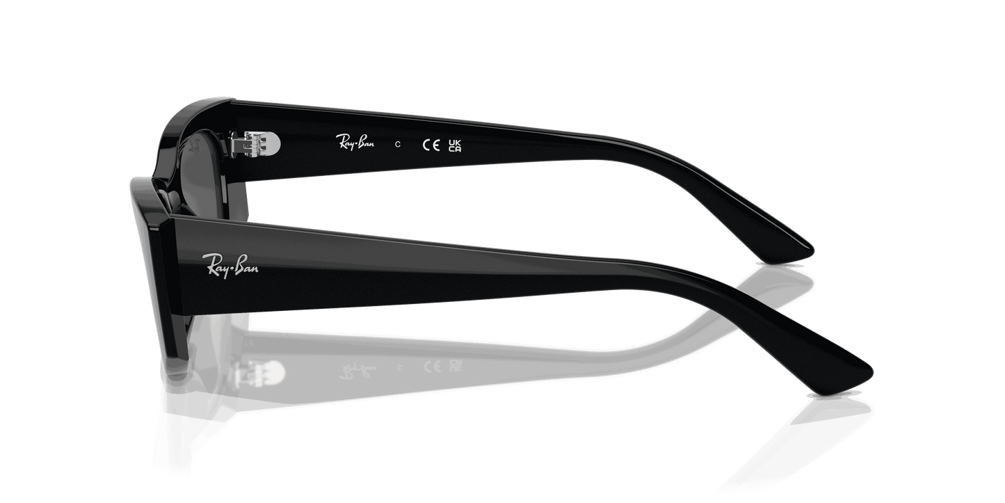 [Dark Grey Lenses, Polished Black Frame]