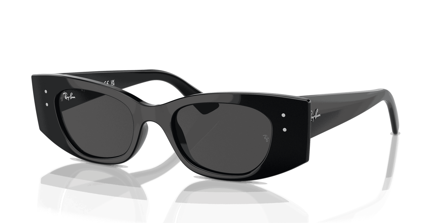 [Dark Grey Lenses, Polished Black Frame]