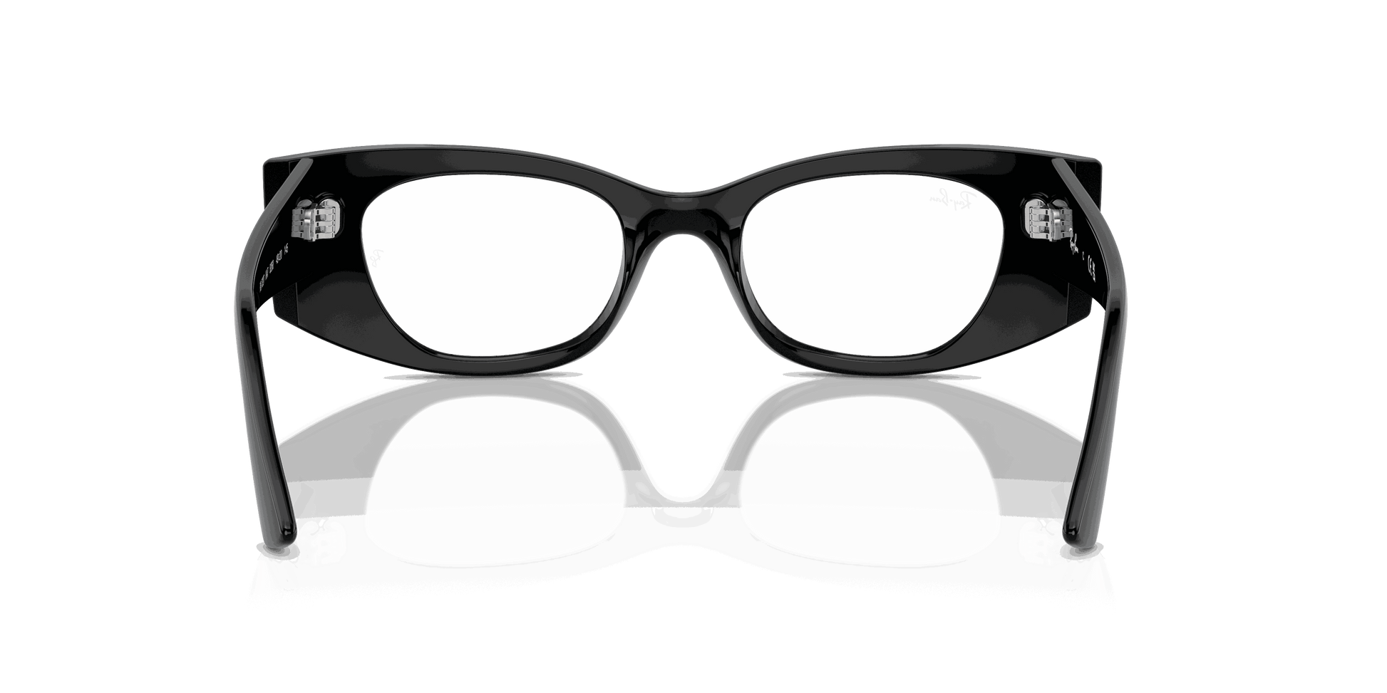 [Clear Lenses, Polished Black Frame]