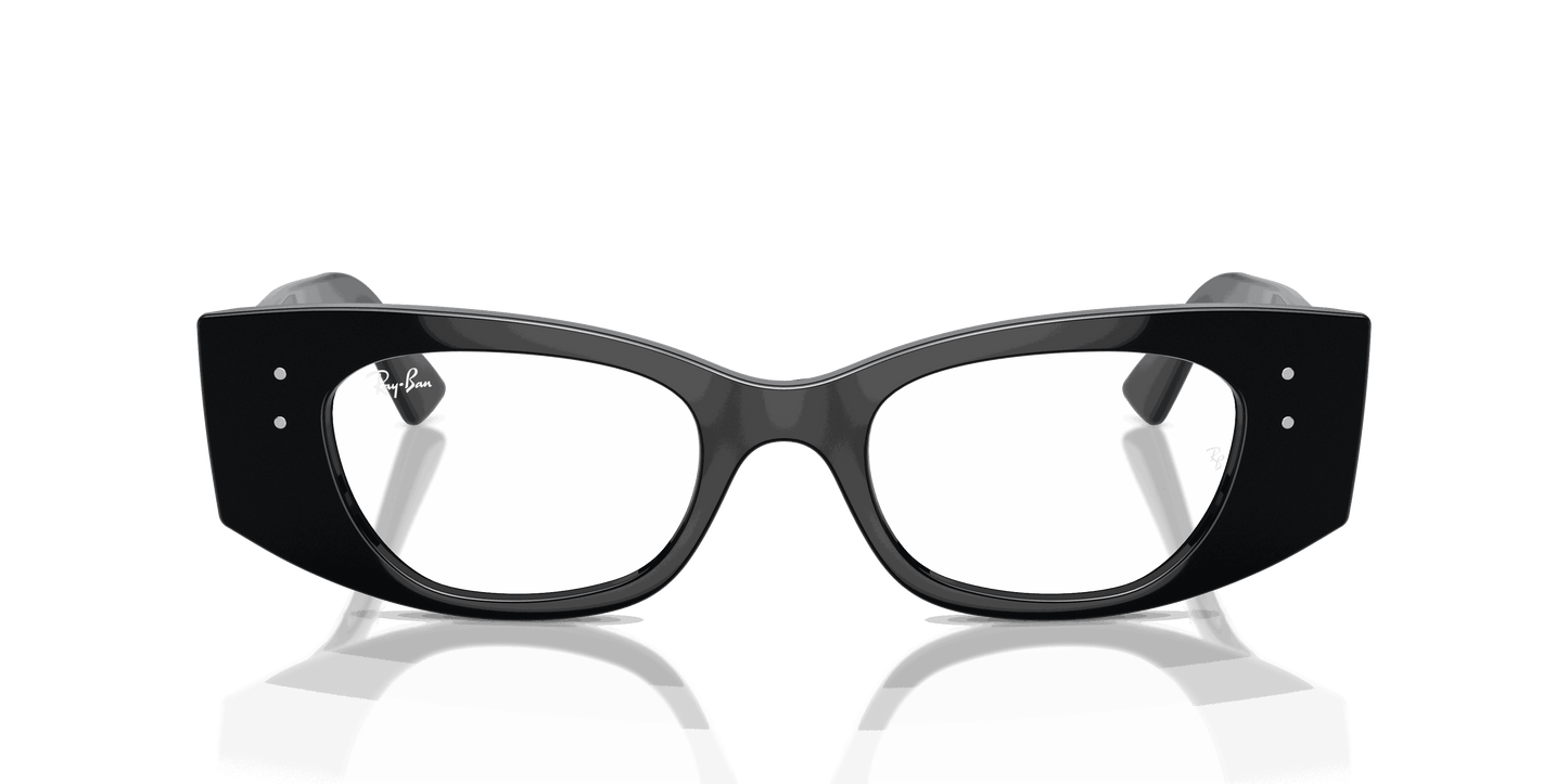 [Clear Lenses, Polished Black Frame]