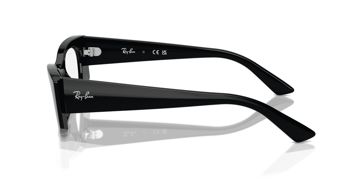 [Clear Lenses, Polished Black Frame]