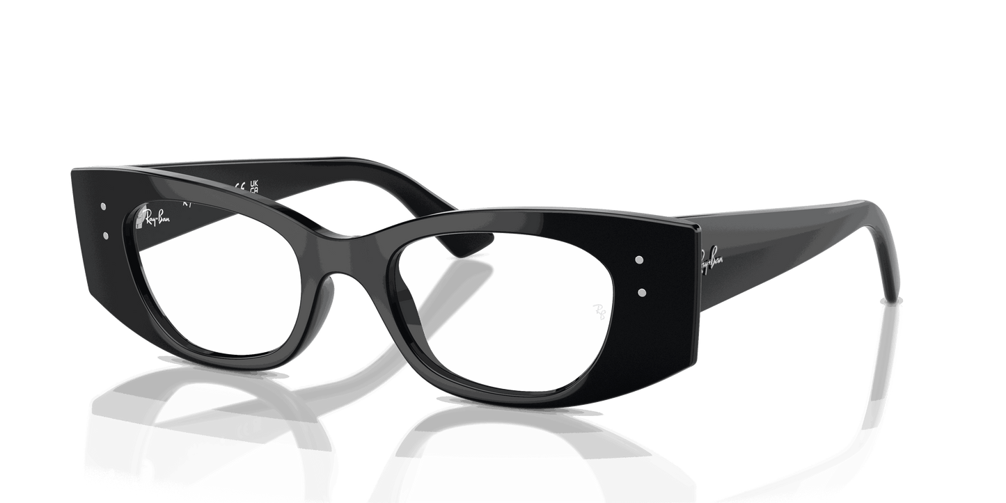 [Clear Lenses, Polished Black Frame]