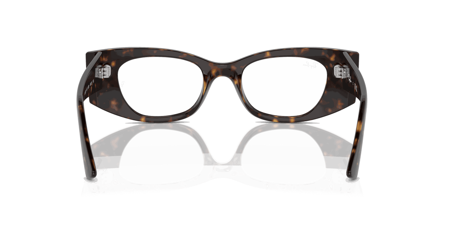 [Clear Lenses, Polished Havana Frame]