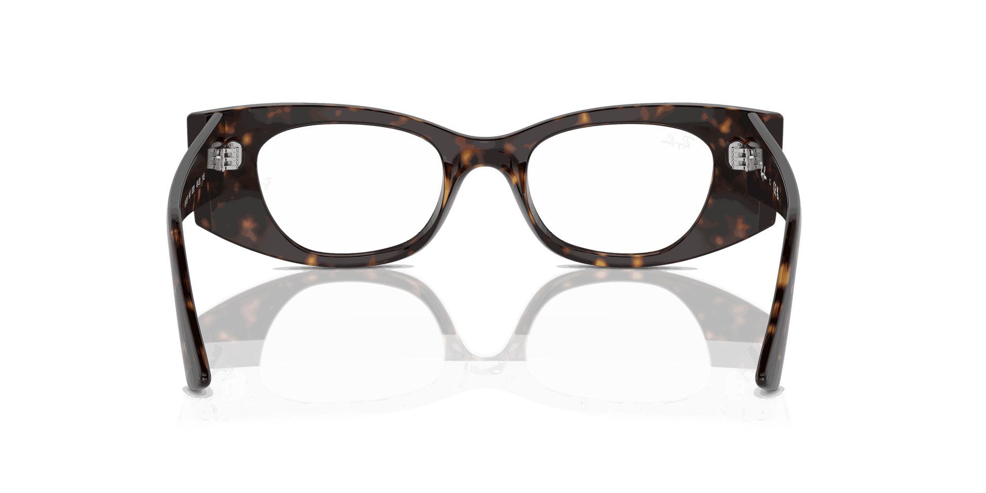 [Clear Lenses, Polished Havana Frame]
