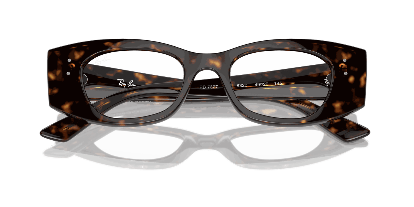 [Clear Lenses, Polished Havana Frame]