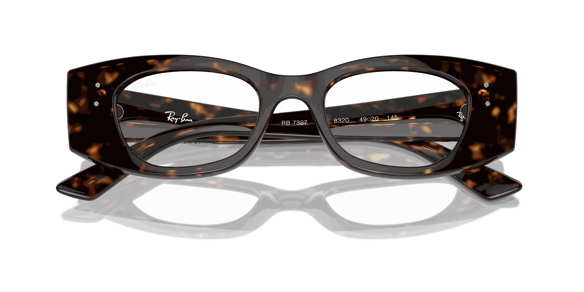 [Clear Lenses, Polished Havana Frame]