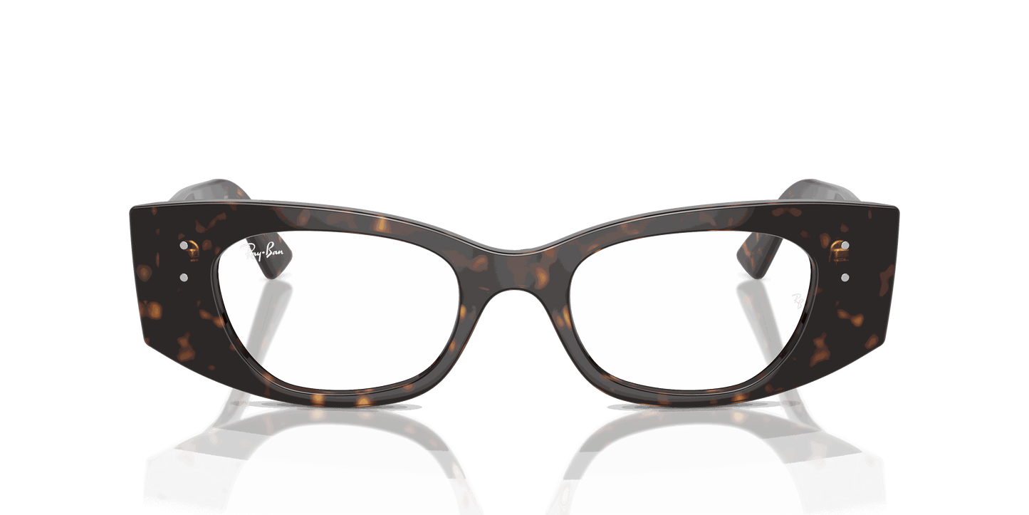 [Clear Lenses, Polished Havana Frame]