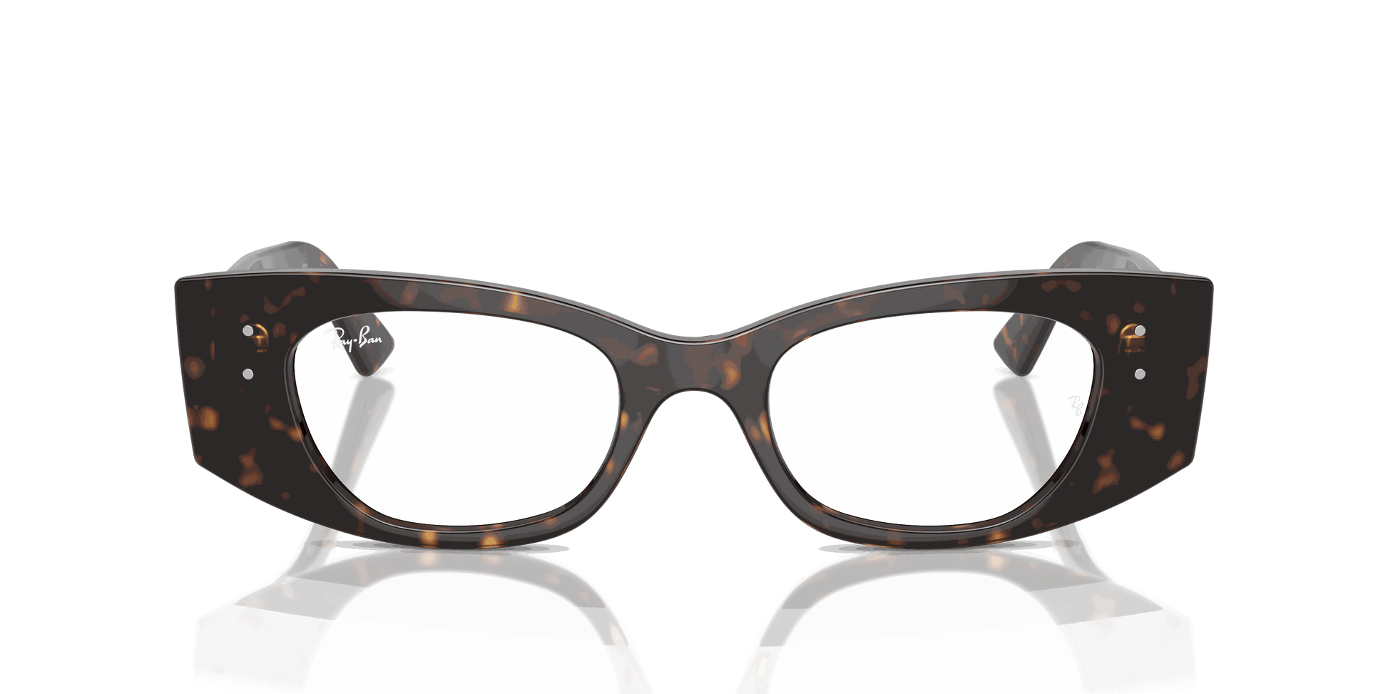 [Clear Lenses, Polished Havana Frame]