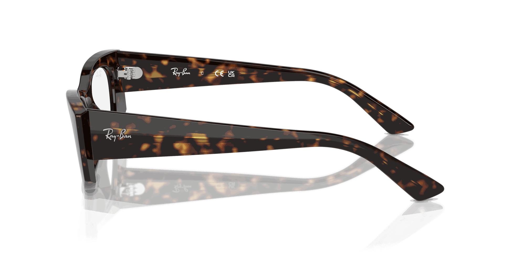 [Clear Lenses, Polished Havana Frame]