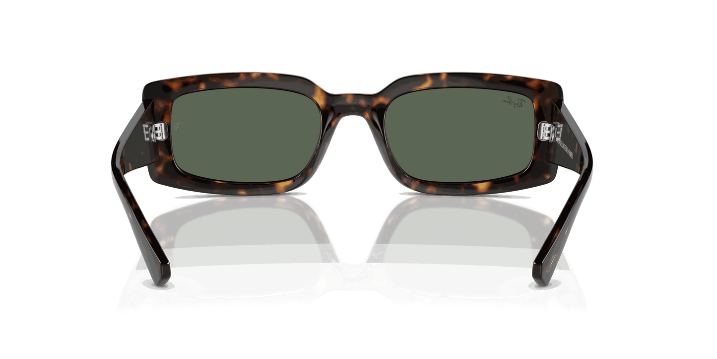 [Dark Green Lenses, Polished Havana Frame]