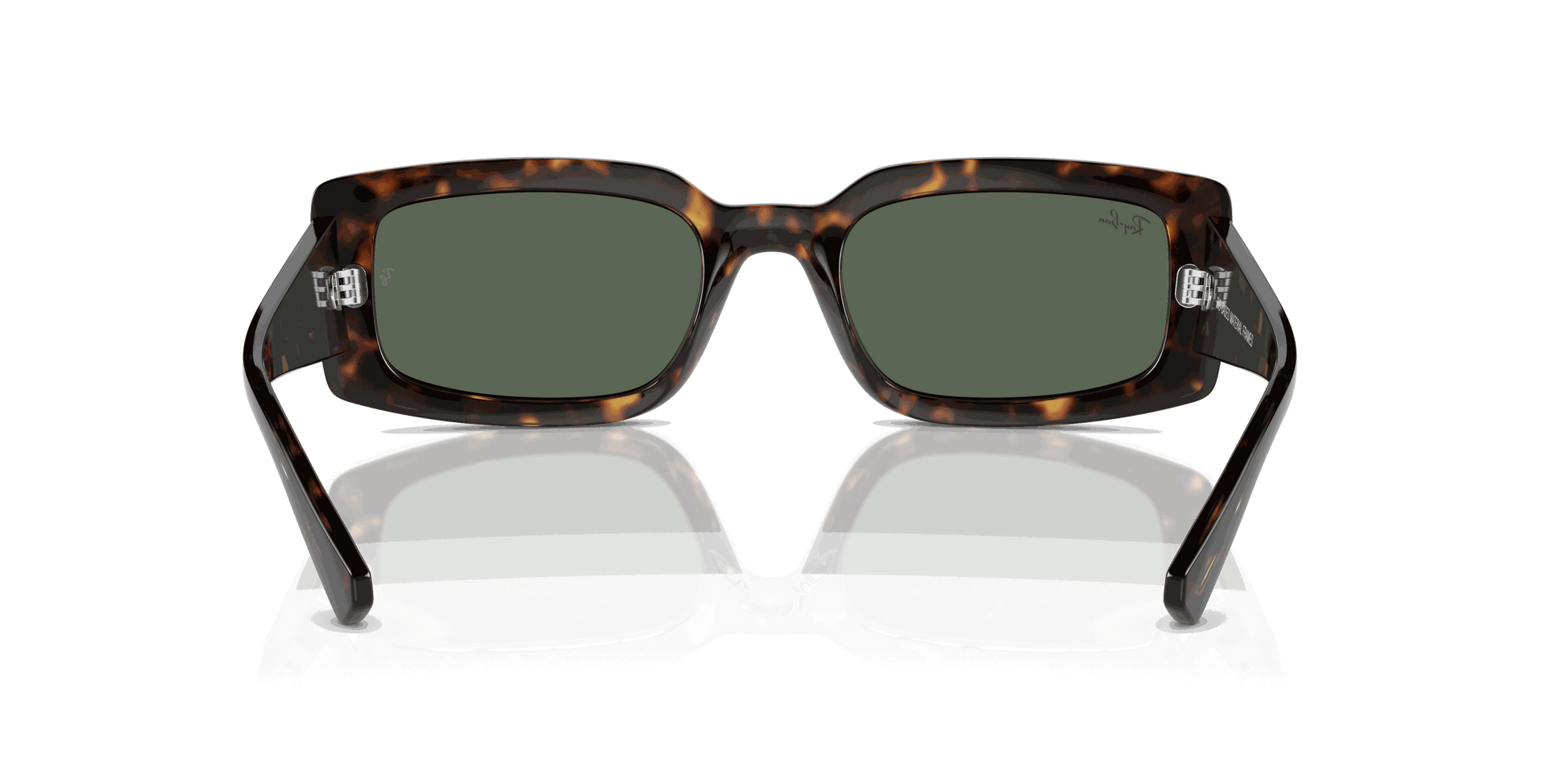 [Dark Green Lenses, Polished Havana Frame]