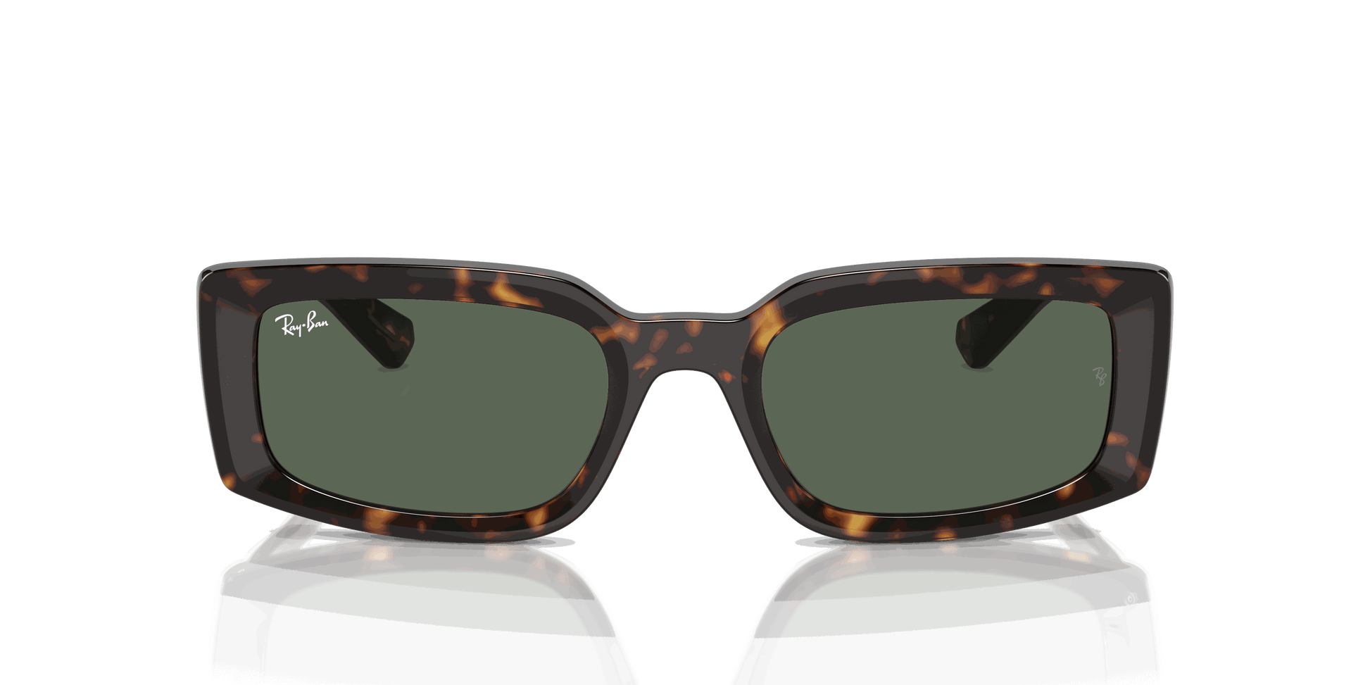 [Dark Green Lenses, Polished Havana Frame]