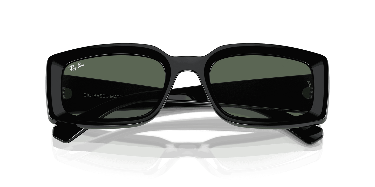 [Dark Green Lenses, Polished Black Frame]