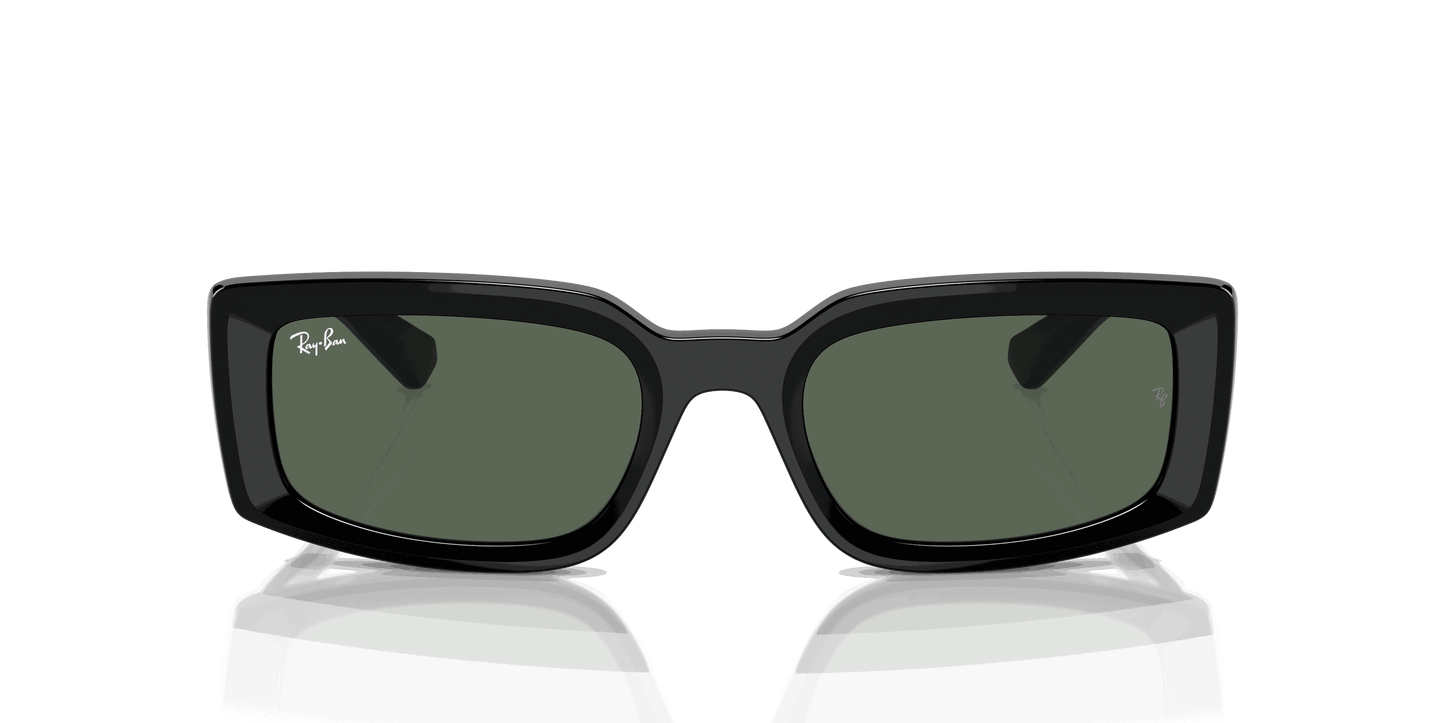 [Dark Green Lenses, Polished Black Frame]