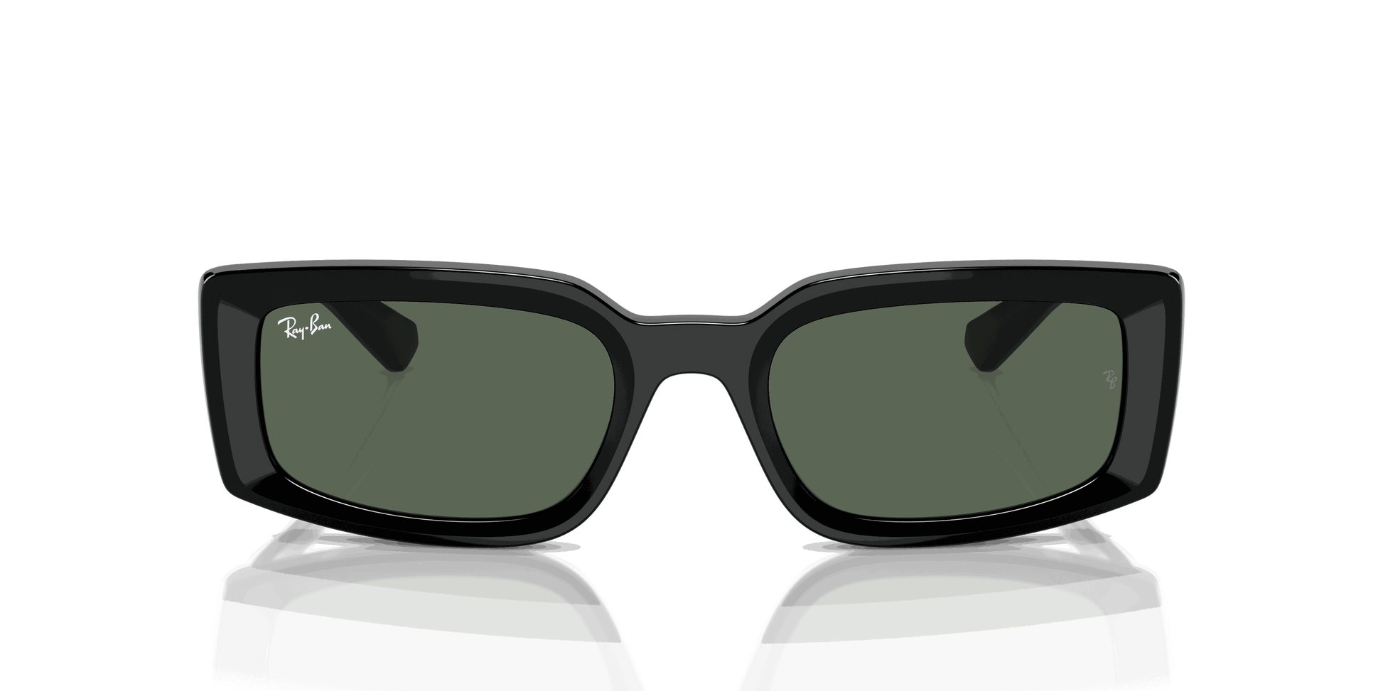 [Dark Green Lenses, Polished Black Frame]