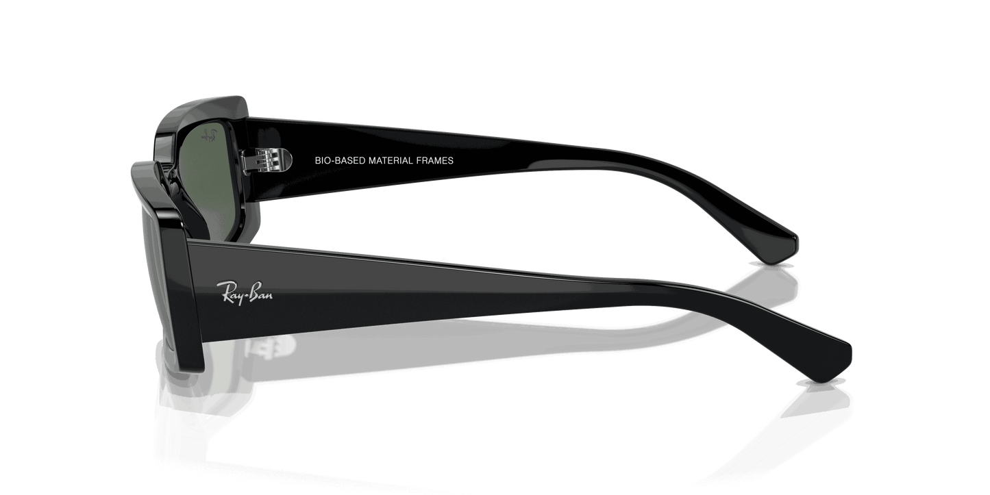 [Dark Green Lenses, Polished Black Frame]
