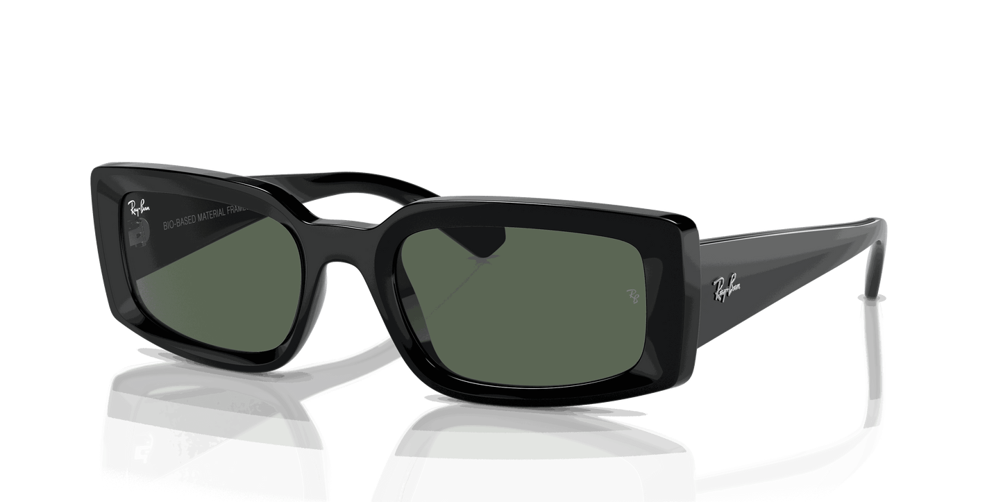[Dark Green Lenses, Polished Black Frame]