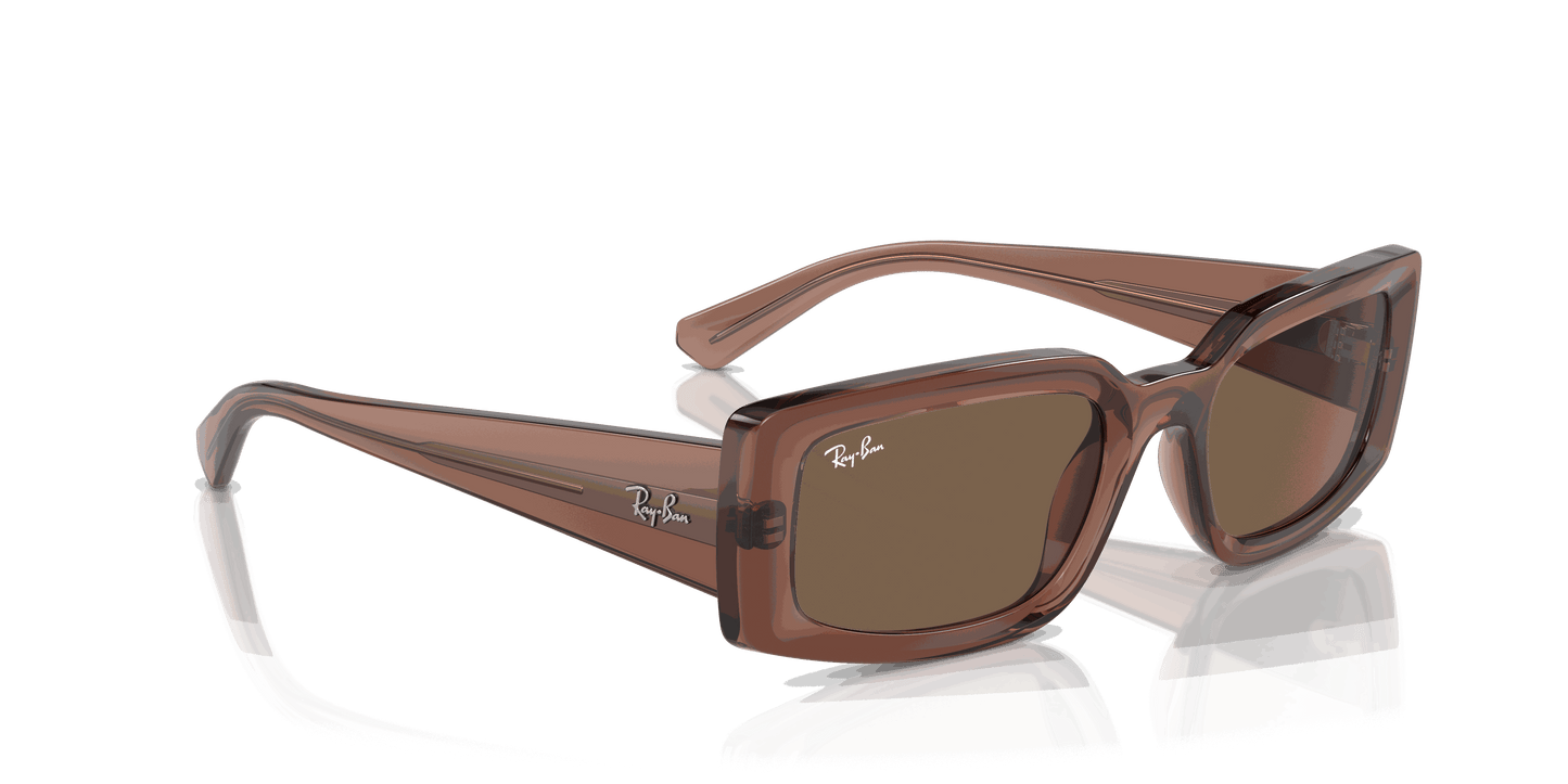 [Dark Brown Lenses, Polished Transparent Brown Frame]