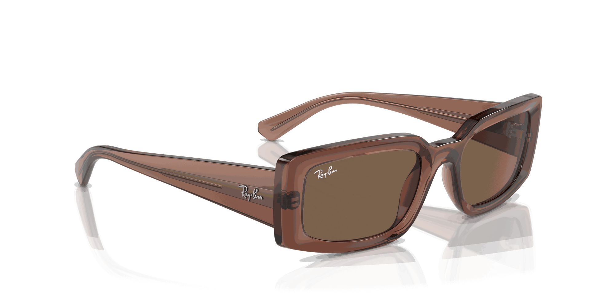 [Dark Brown Lenses, Polished Transparent Brown Frame]