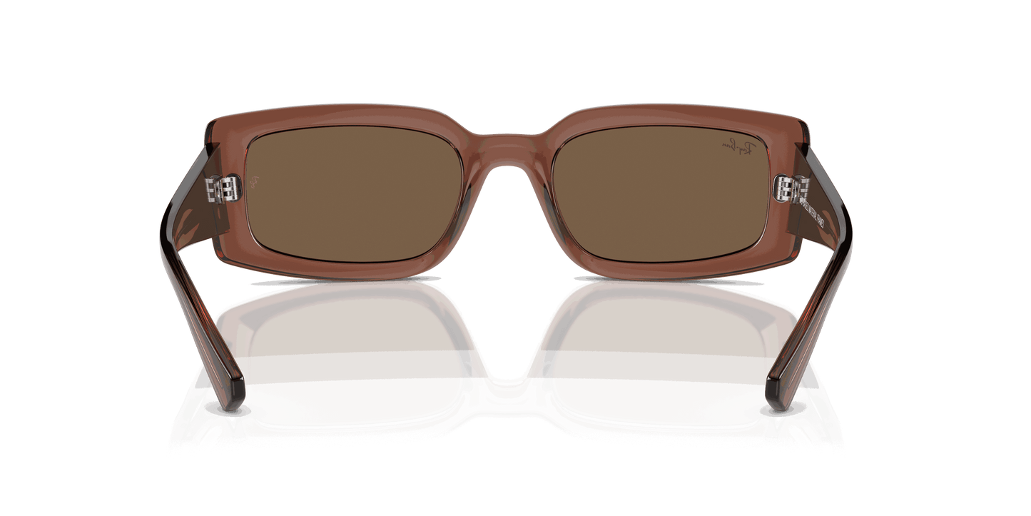 [Dark Brown Lenses, Polished Transparent Brown Frame]