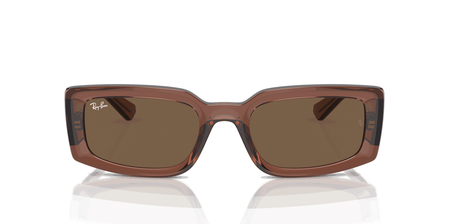 [Dark Brown Lenses, Polished Transparent Brown Frame]