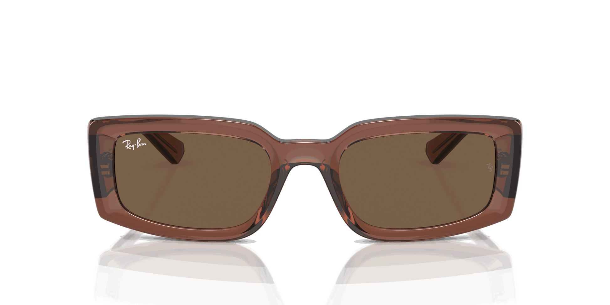 [Dark Brown Lenses, Polished Transparent Brown Frame]