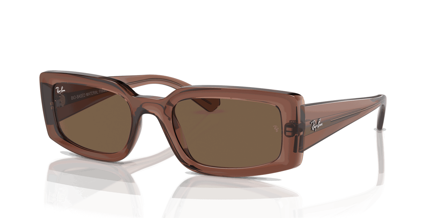 [Dark Brown Lenses, Polished Transparent Brown Frame]