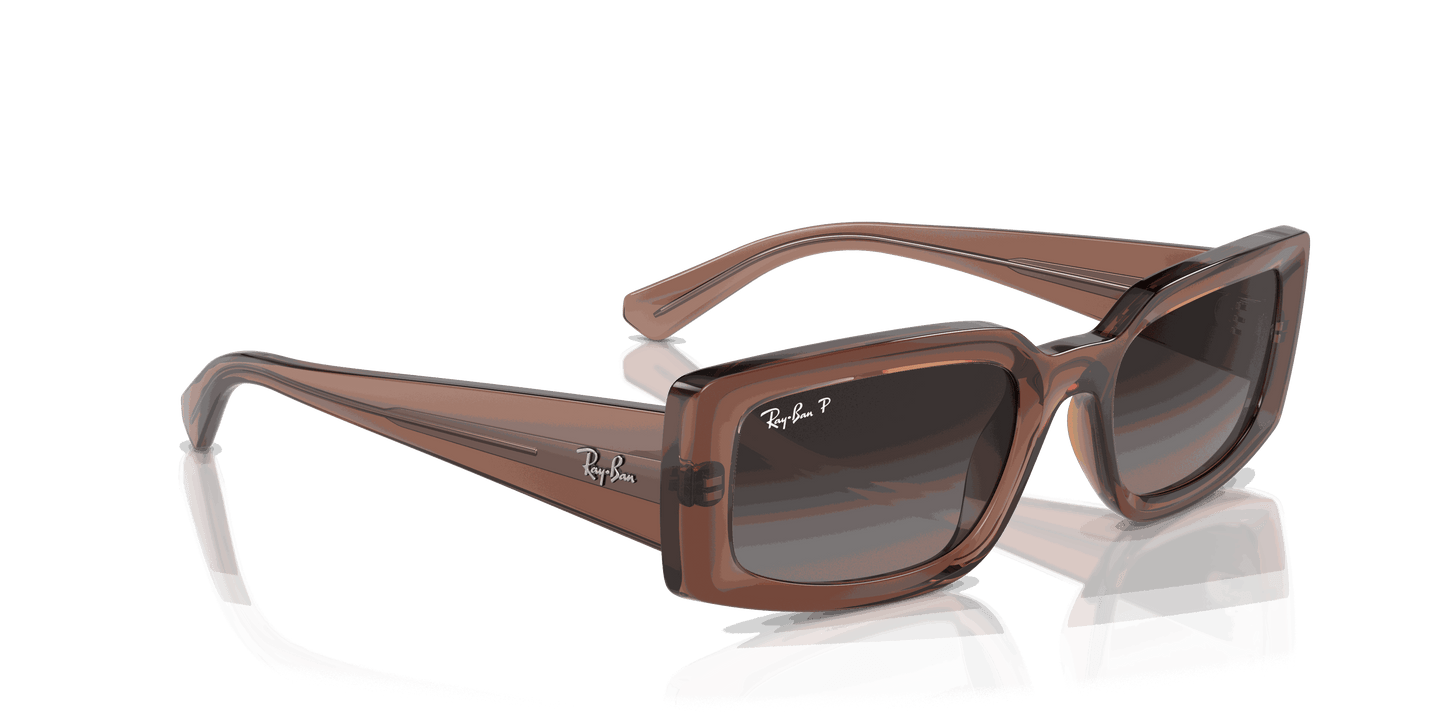[Grey Lenses, Polished Transparent Brown Frame]