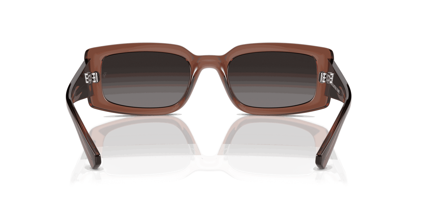 [Grey Lenses, Polished Transparent Brown Frame]