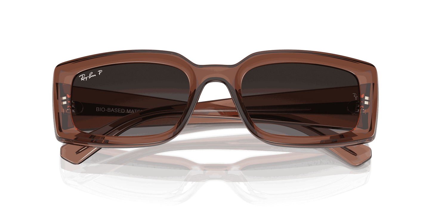 [Grey Lenses, Polished Transparent Brown Frame]