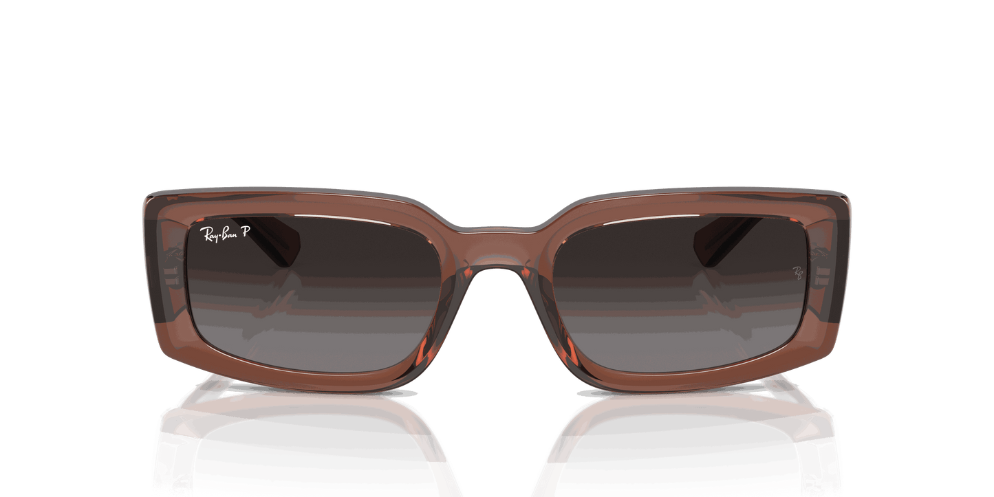 [Grey Lenses, Polished Transparent Brown Frame]