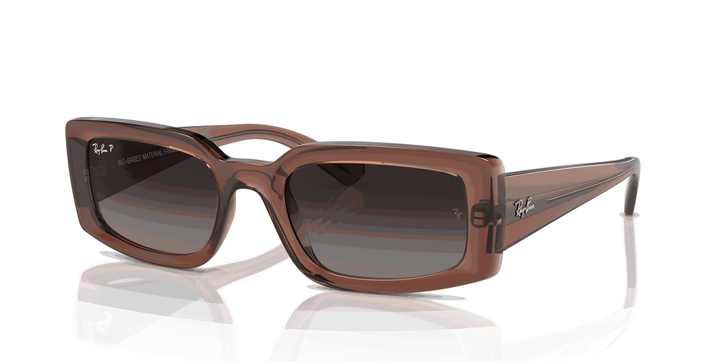 [Grey Lenses, Polished Transparent Brown Frame]