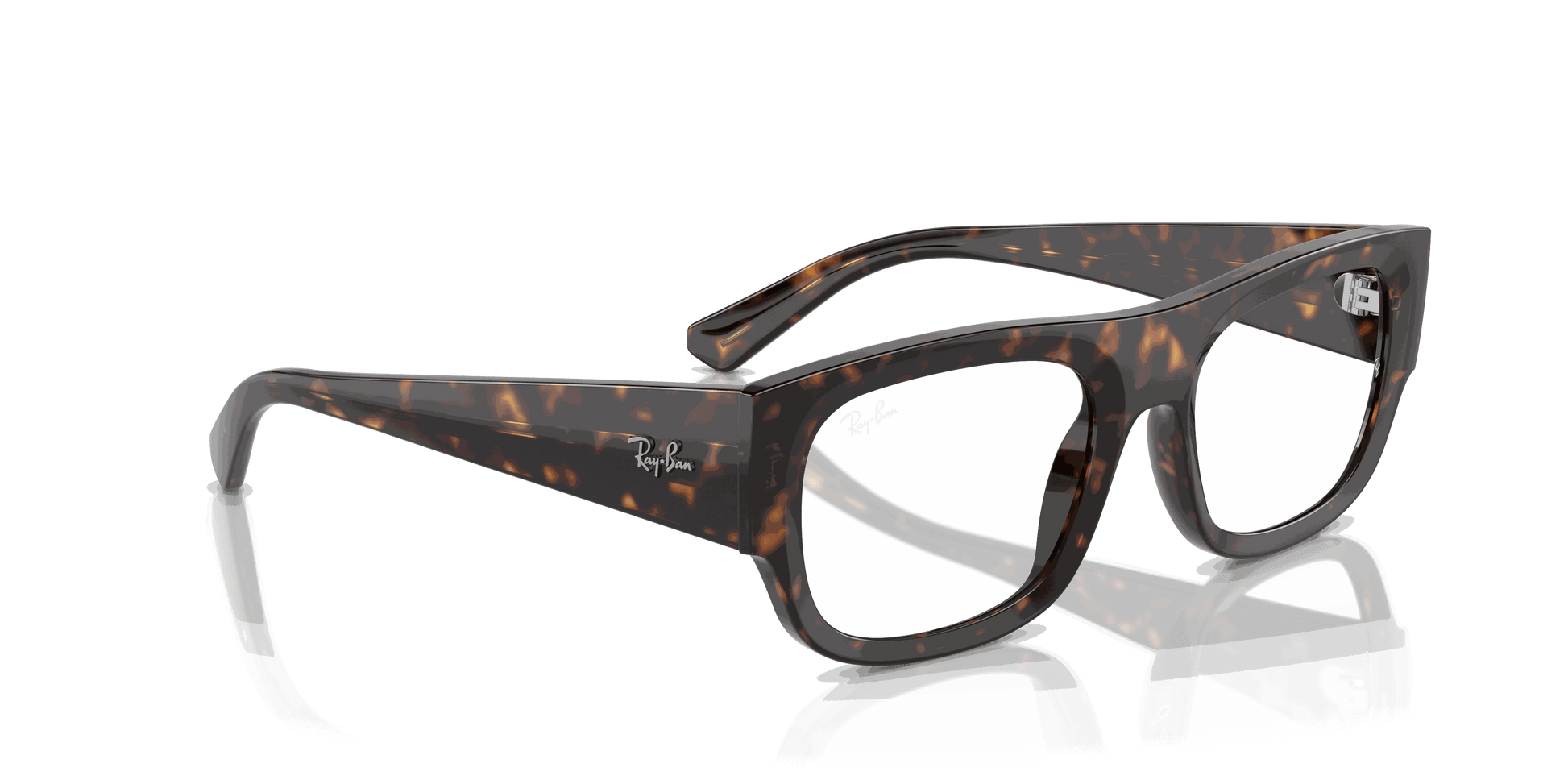 [Clear Lenses, Polished Havana Frame]
