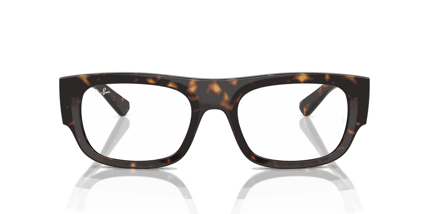 [Clear Lenses, Polished Havana Frame]