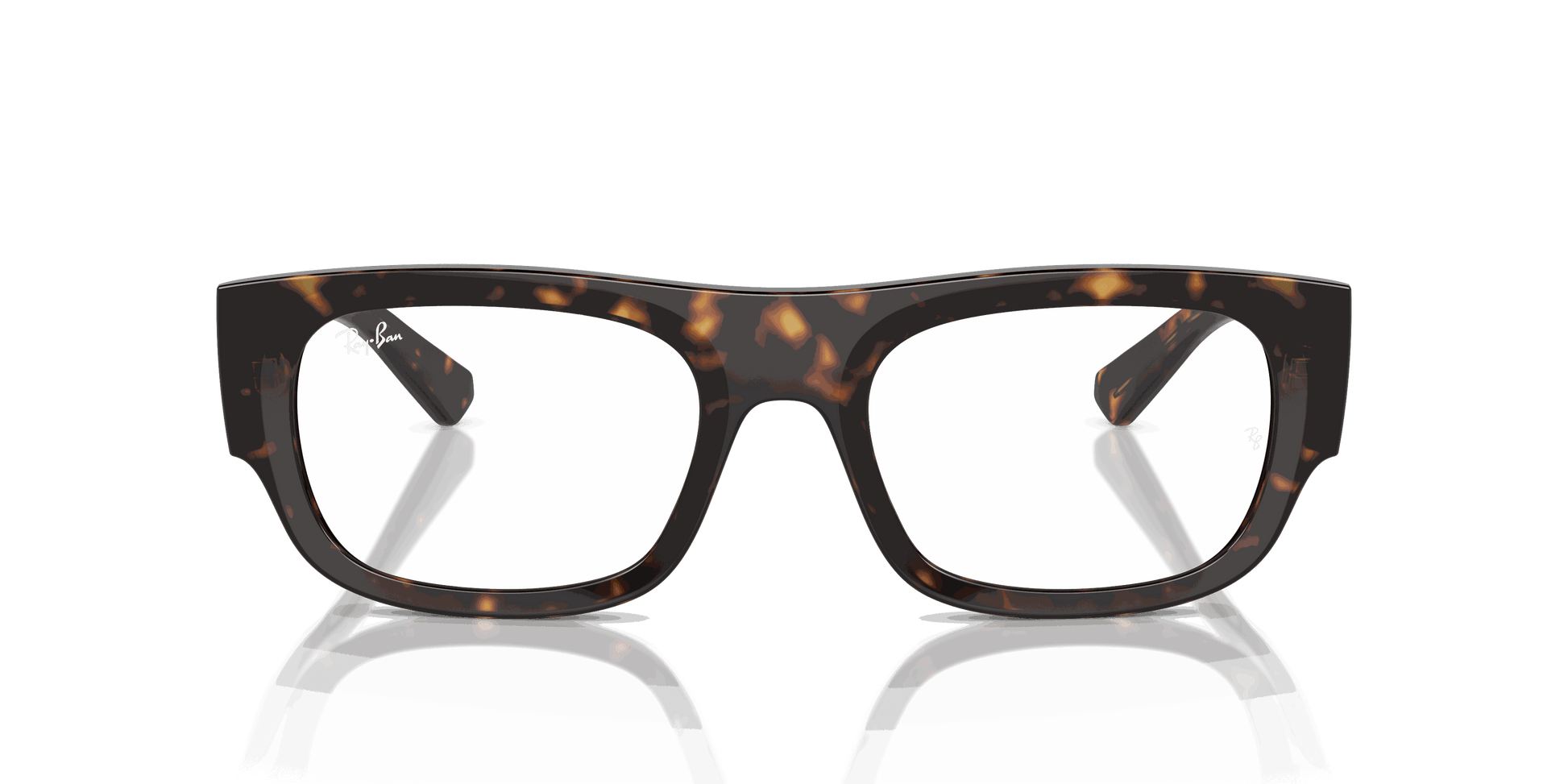 [Clear Lenses, Polished Havana Frame]