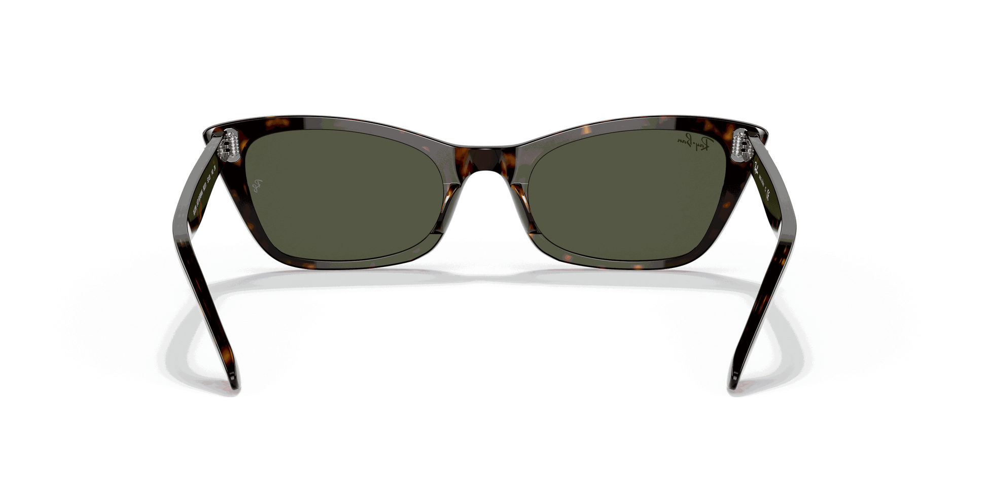 [Green Lenses, Polished Havana Frame]