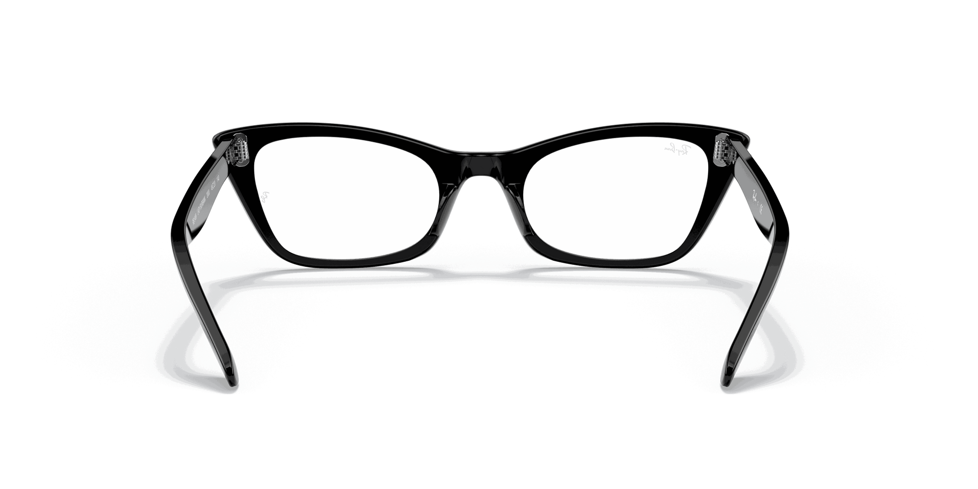 [Clear Lenses, Polished Black Frame]