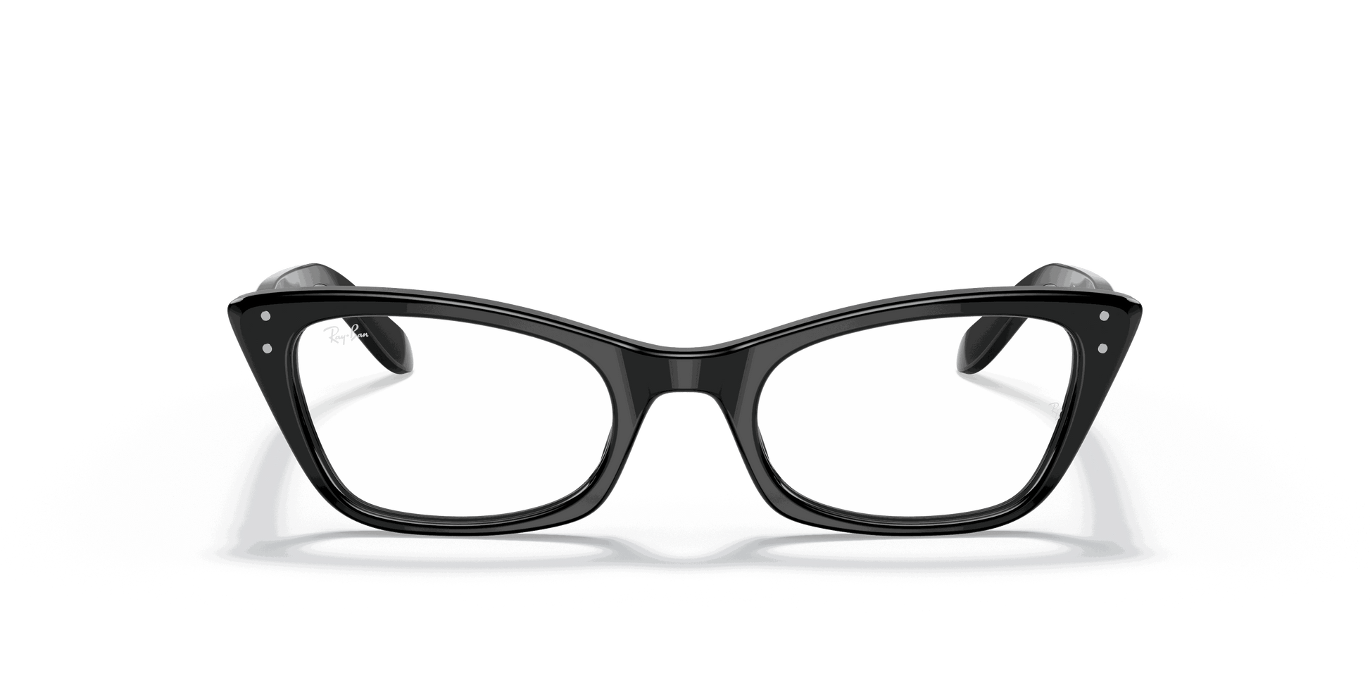 [Clear Lenses, Polished Black Frame]