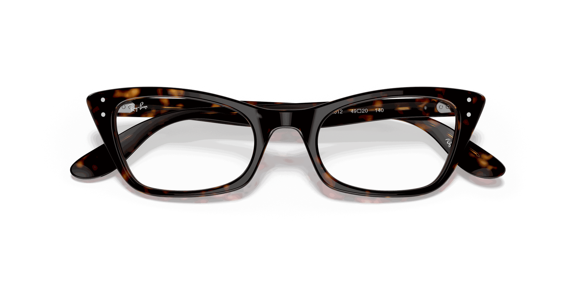 [Clear Lenses, Polished Havana Frame]