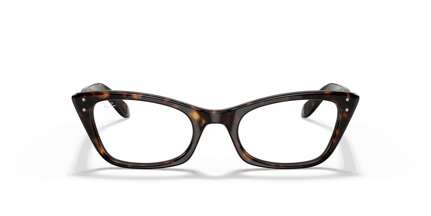 [Clear Lenses, Polished Havana Frame]