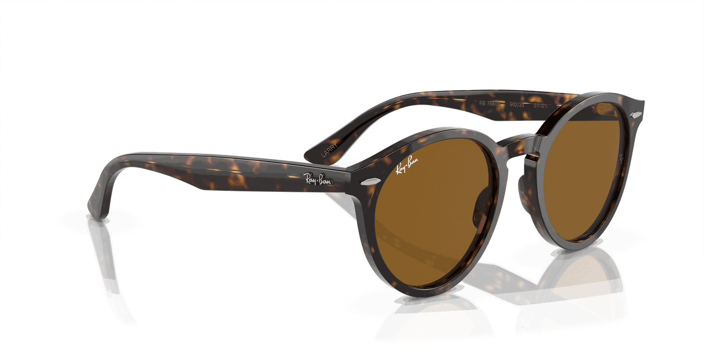 [Brown Lenses, Polished Havana Frame]