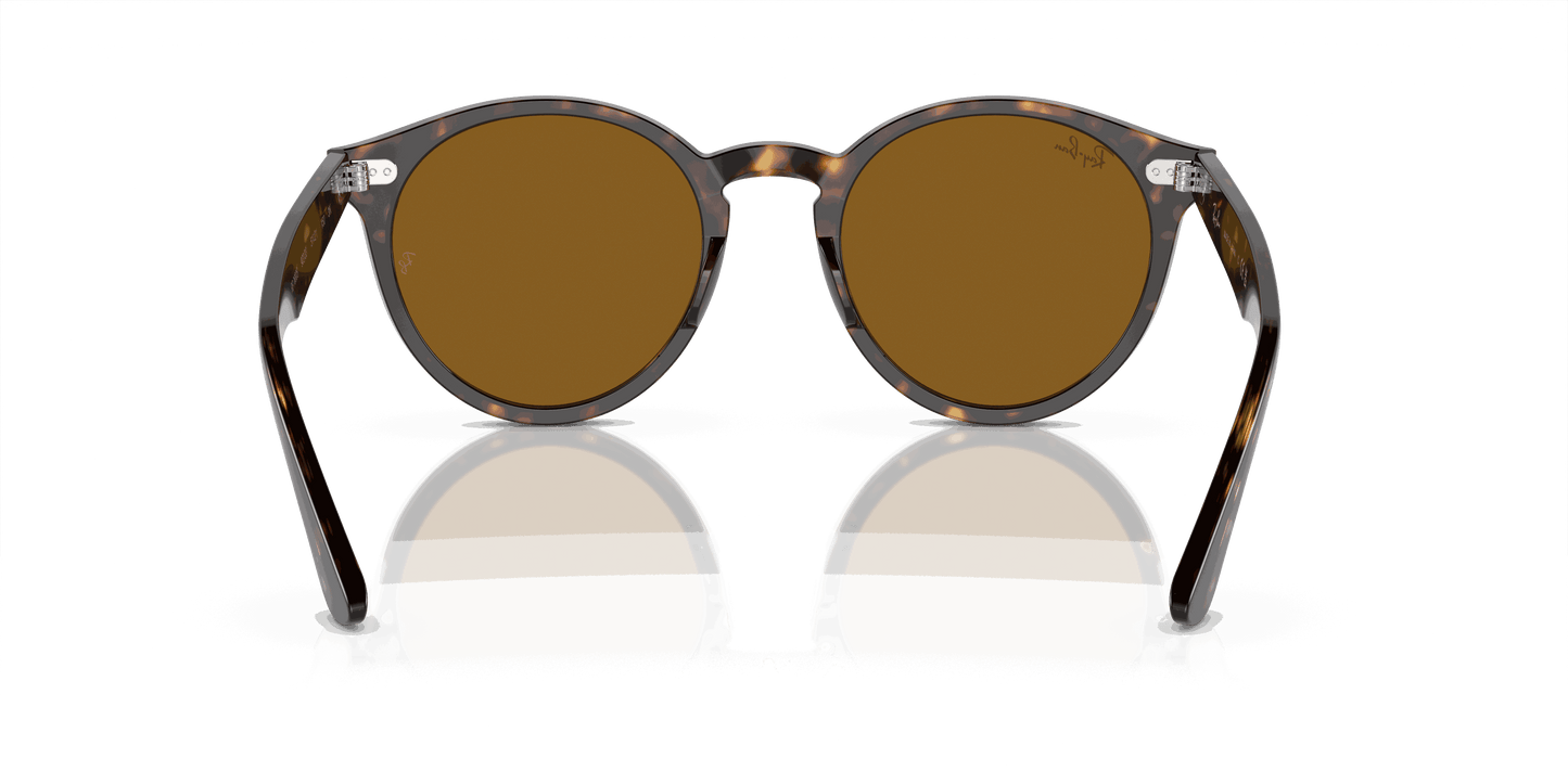 [Brown Lenses, Polished Havana Frame]