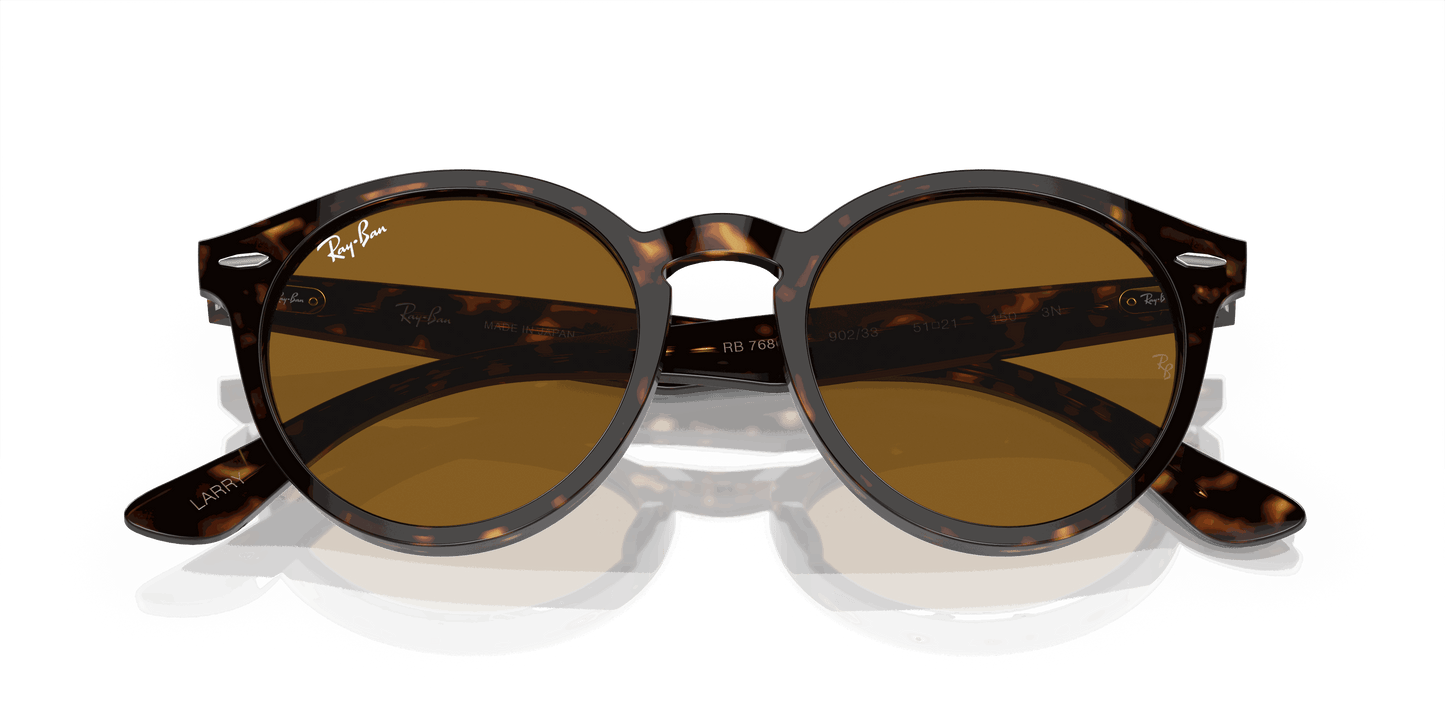 [Brown Lenses, Polished Havana Frame]