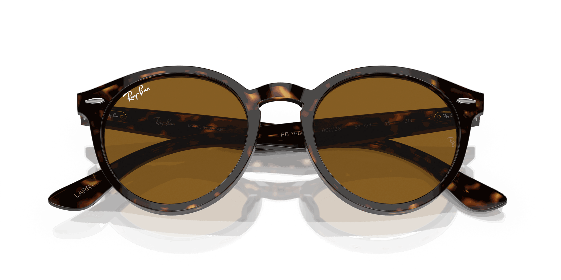 [Brown Lenses, Polished Havana Frame]