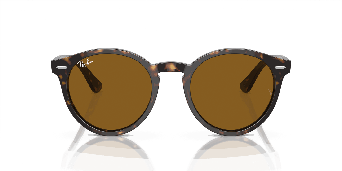 [Brown Lenses, Polished Havana Frame]