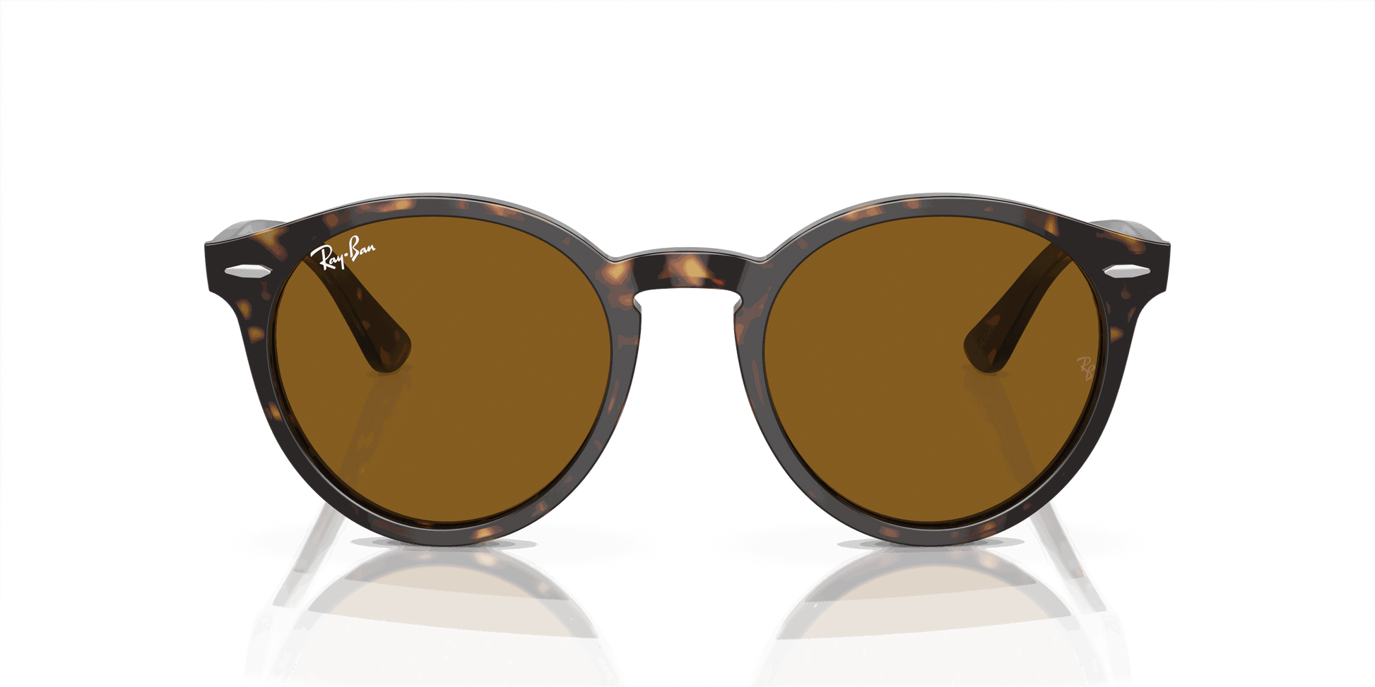 [Brown Lenses, Polished Havana Frame]