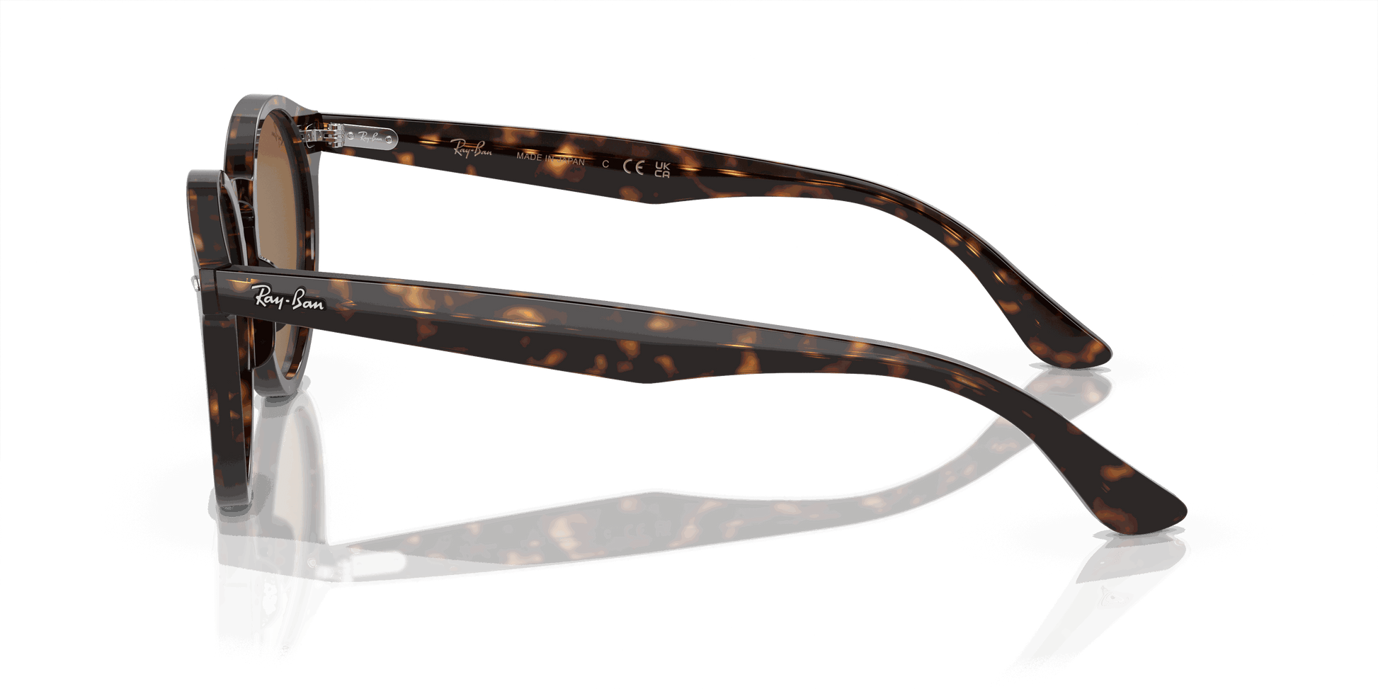 [Brown Lenses, Polished Havana Frame]