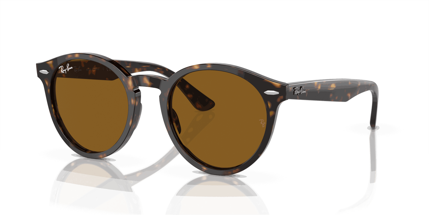 [Brown Lenses, Polished Havana Frame]