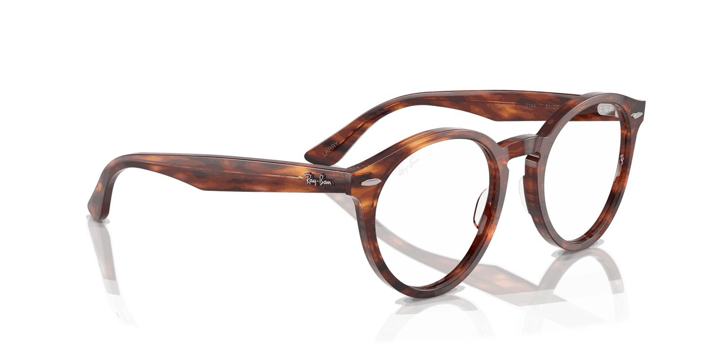 [Clear Lenses, Polished Striped Havana Frame]