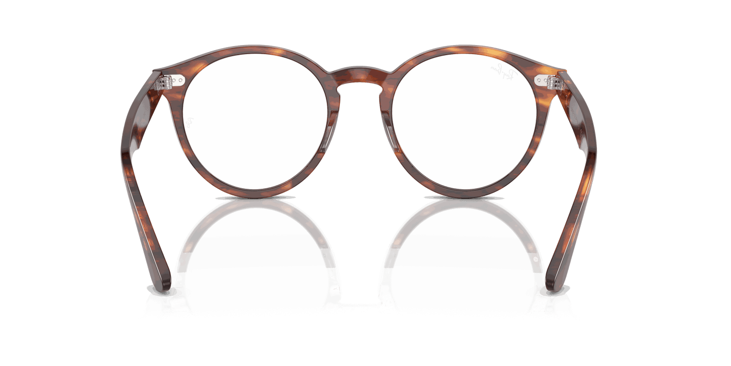 [Clear Lenses, Polished Striped Havana Frame]